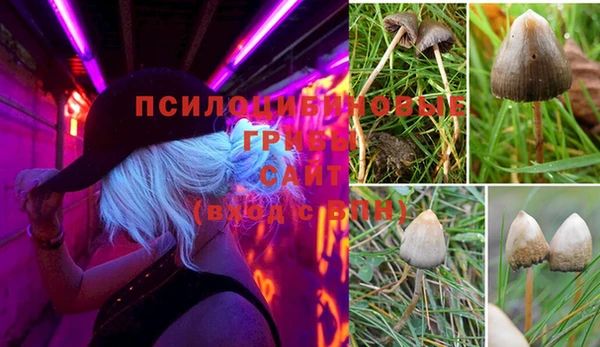 альфа пвп Майский