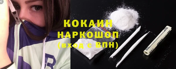 PSILOCYBIN Магас