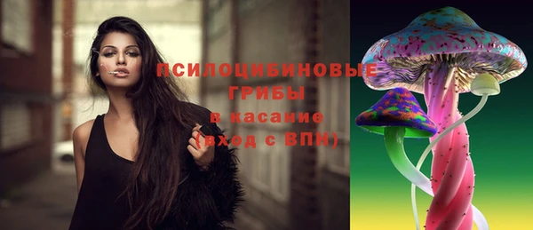PSILOCYBIN Магас