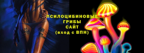 PSILOCYBIN Магас