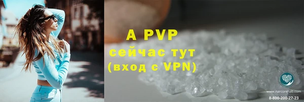 PSILOCYBIN Магас