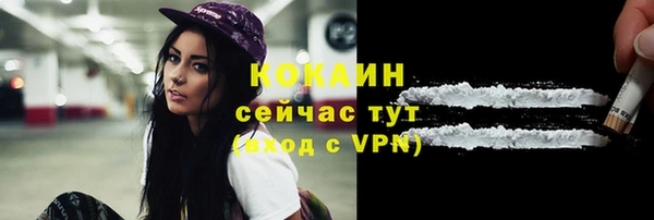 PSILOCYBIN Магас