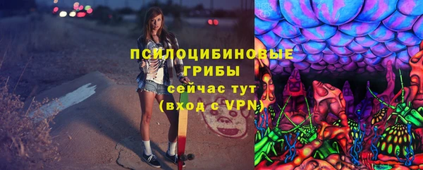 PSILOCYBIN Магас