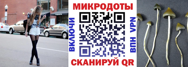 Купить закладки  Няндома  Псилоцибиновые грибы мицелий 